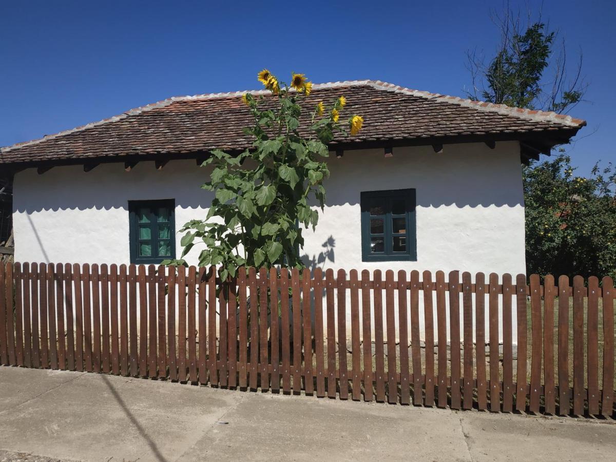 Villa Stara Kovacnica Golubac Exterior foto