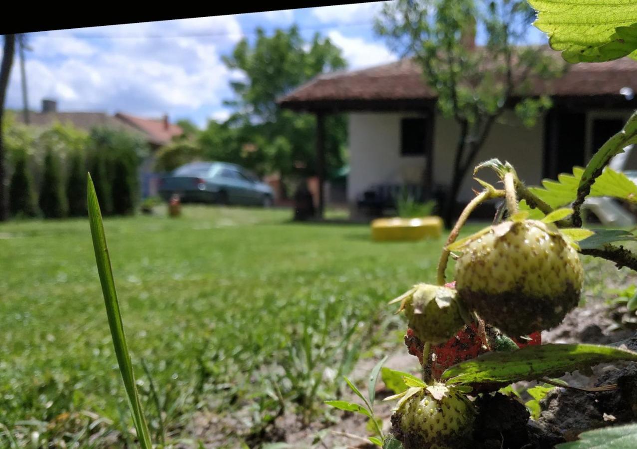 Villa Stara Kovacnica Golubac Exterior foto